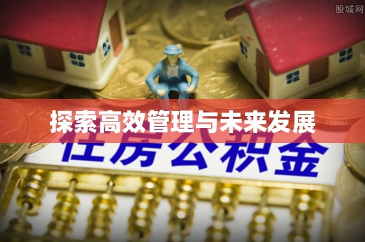 大溪探索高效管理与未来发展