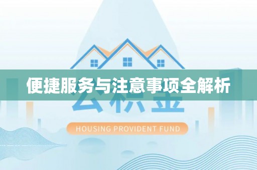 大溪便捷服务与注意事项全解析