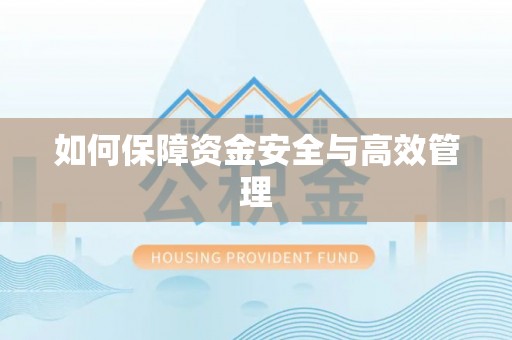 大溪如何保障资金安全与高效管理