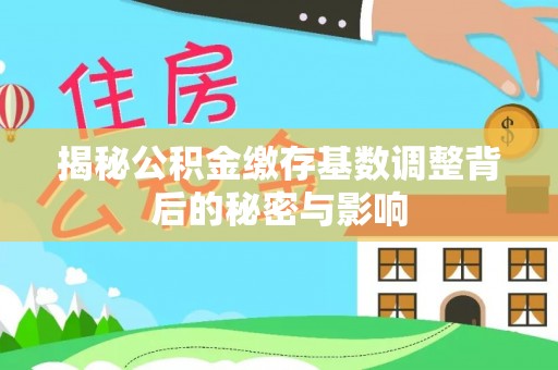 大溪揭秘公积金缴存基数调整背后的秘密与影响