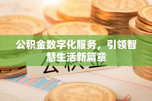 大溪公积金数字化服务，引领智慧生活新篇章