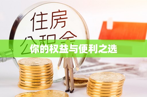 大溪你的权益与便利之选