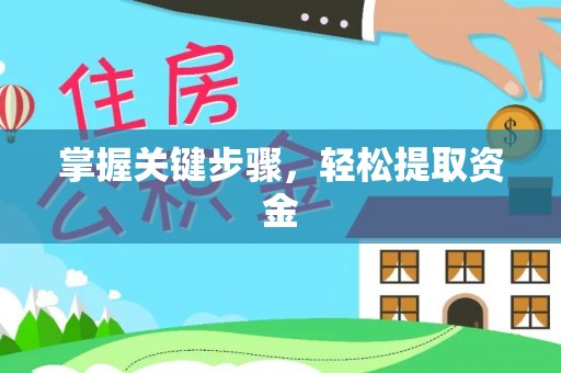 大溪掌握关键步骤，轻松提取资金
