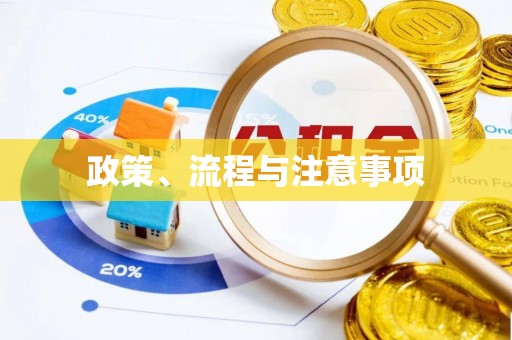 大溪政策、流程与注意事项