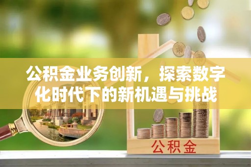 大溪公积金业务创新，探索数字化时代下的新机遇与挑战