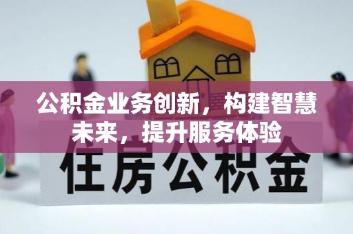 大溪公积金业务创新，构建智慧未来，提升服务体验