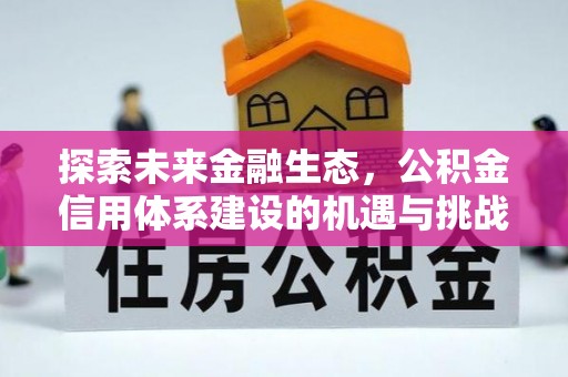 大溪探索未来金融生态，公积金信用体系建设的机遇与挑战