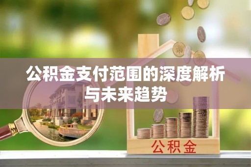 大溪公积金支付范围的深度解析与未来趋势