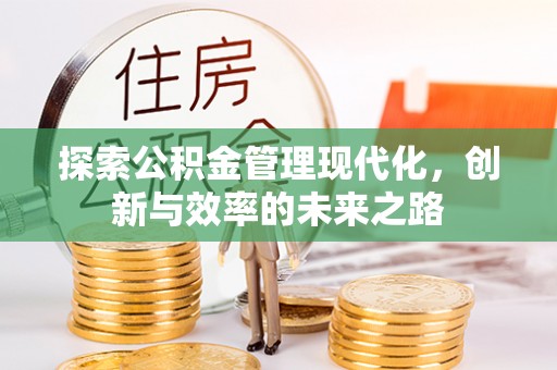 大溪探索公积金管理现代化，创新与效率的未来之路