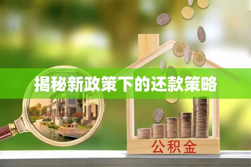大溪揭秘新政策下的还款策略