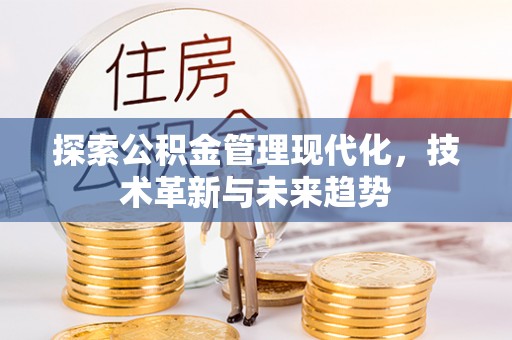 大溪探索公积金管理现代化，技术革新与未来趋势
