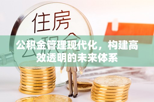 大溪公积金管理现代化，构建高效透明的未来体系