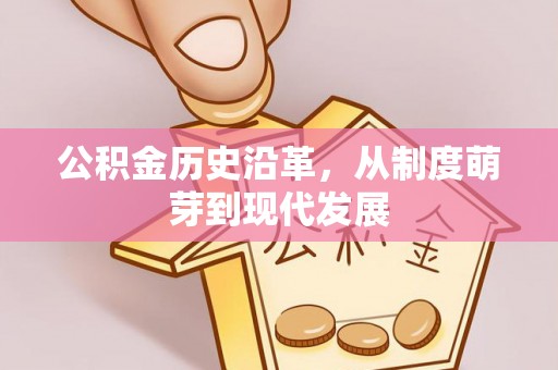 大溪公积金历史沿革，从制度萌芽到现代发展