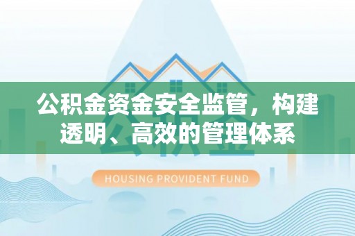 大溪公积金资金安全监管，构建透明、高效的管理体系