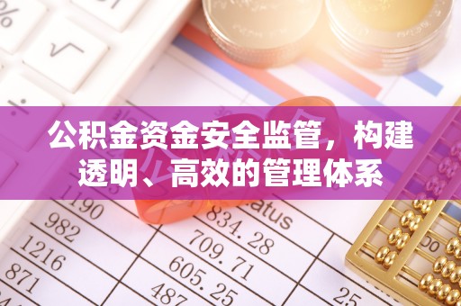 大溪公积金资金安全监管，构建透明、高效的管理体系