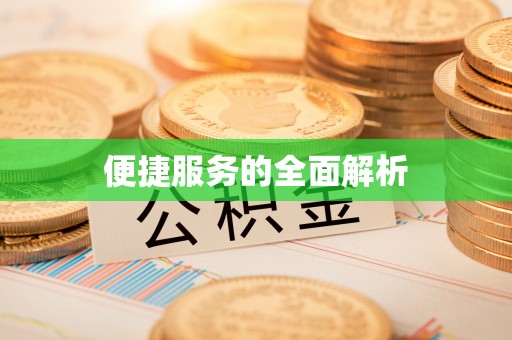 大溪便捷服务的全面解析