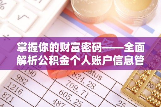大溪掌握你的财富密码——全面解析公积金个人账户信息管理与优化