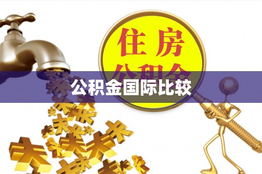大溪公积金国际比较