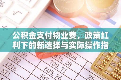 大溪公积金支付物业费，政策红利下的新选择与实际操作指南
