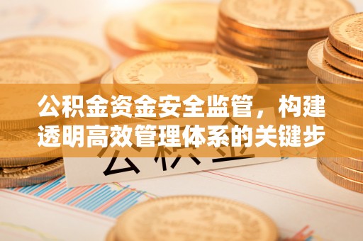 大溪公积金资金安全监管，构建透明高效管理体系的关键步骤
