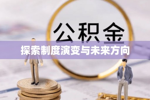 大溪探索制度演变与未来方向
