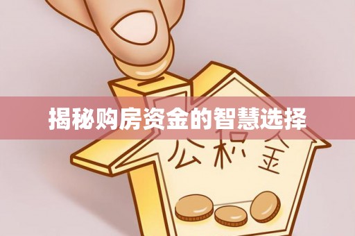 大溪揭秘购房资金的智慧选择