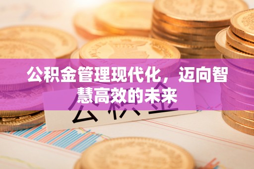 大溪公积金管理现代化，迈向智慧高效的未来