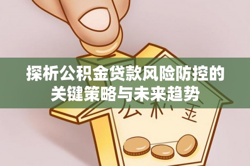大溪探析公积金贷款风险防控的关键策略与未来趋势