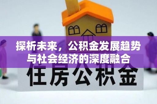 大溪探析未来，公积金发展趋势与社会经济的深度融合