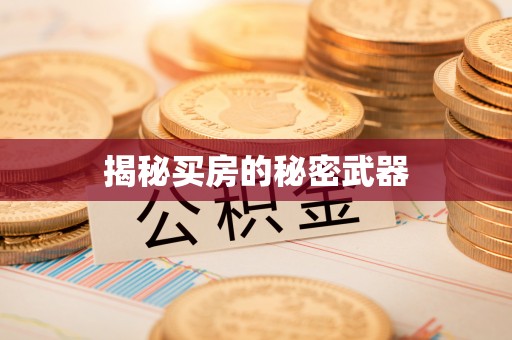 大溪揭秘买房的秘密武器
