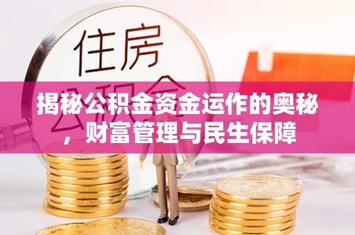 大溪揭秘公积金资金运作的奥秘，财富管理与民生保障