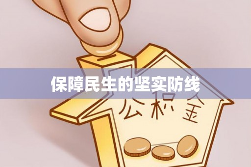 大溪保障民生的坚实防线
