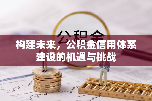 大溪构建未来，公积金信用体系建设的机遇与挑战