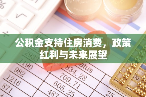 大溪公积金支持住房消费，政策红利与未来展望