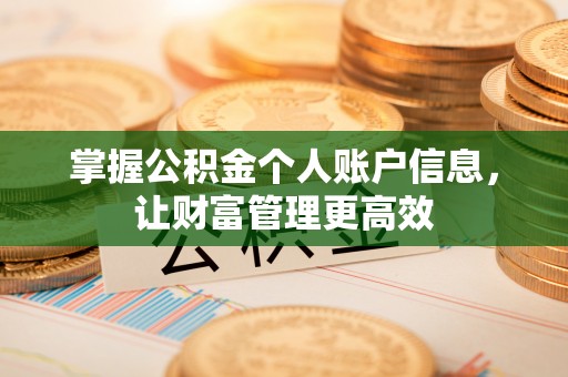 大溪掌握公积金个人账户信息，让财富管理更高效