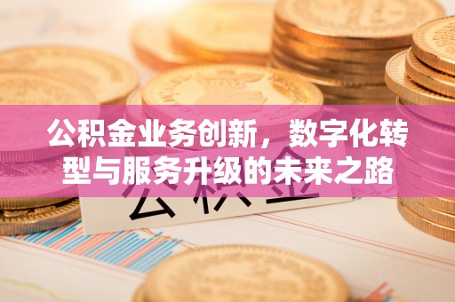 大溪公积金业务创新，数字化转型与服务升级的未来之路