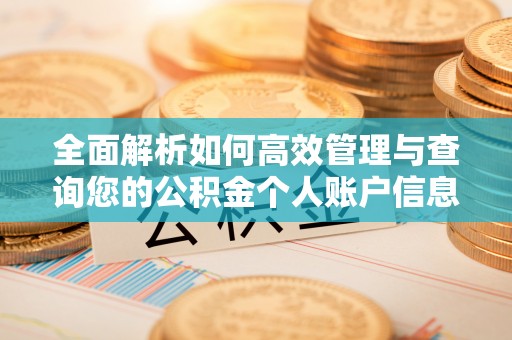 大溪全面解析如何高效管理与查询您的公积金个人账户信息