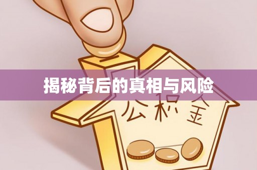 大溪揭秘背后的真相与风险