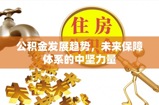 大溪公积金发展趋势，未来保障体系的中坚力量