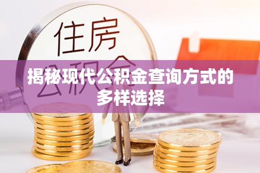 大溪揭秘现代公积金查询方式的多样选择