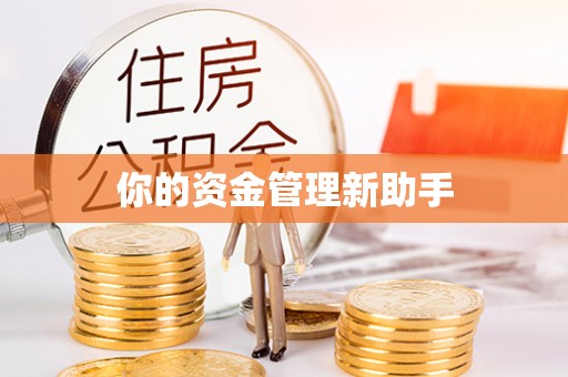 大溪你的资金管理新助手