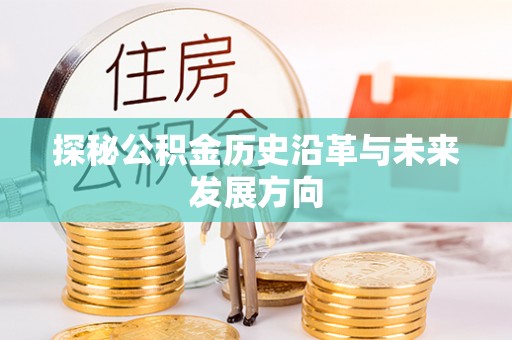 大溪探秘公积金历史沿革与未来发展方向