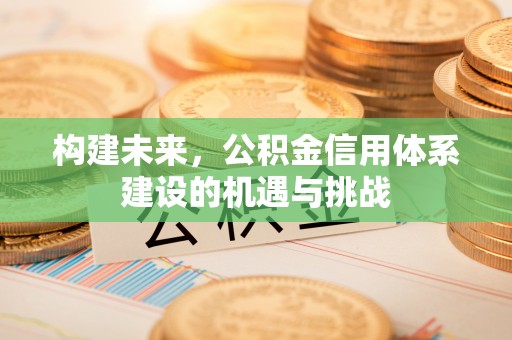 大溪构建未来，公积金信用体系建设的机遇与挑战