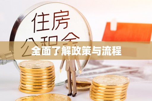 大溪全面了解政策与流程