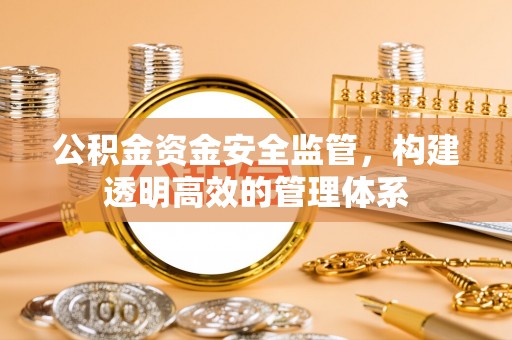 大溪公积金资金安全监管，构建透明高效的管理体系