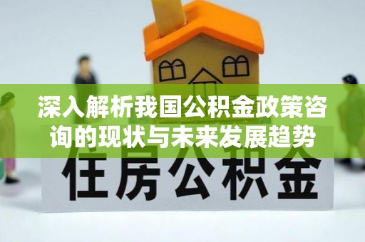 大溪深入解析我国公积金政策咨询的现状与未来发展趋势