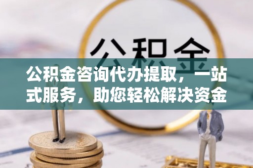 大溪公积金咨询代办提取，一站式服务，助您轻松解决资金难题
