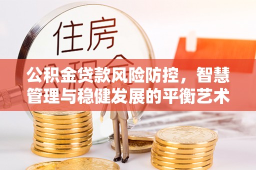 大溪公积金贷款风险防控，智慧管理与稳健发展的平衡艺术