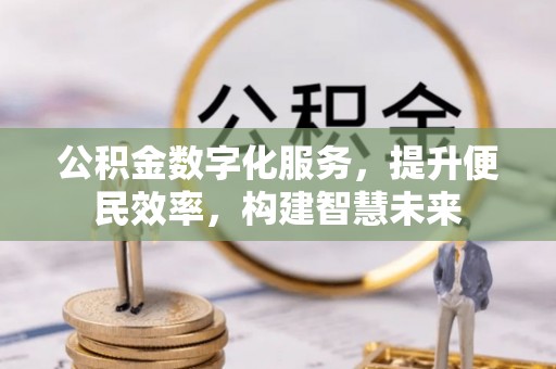 大溪公积金数字化服务，提升便民效率，构建智慧未来