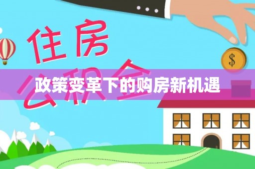 大溪政策变革下的购房新机遇